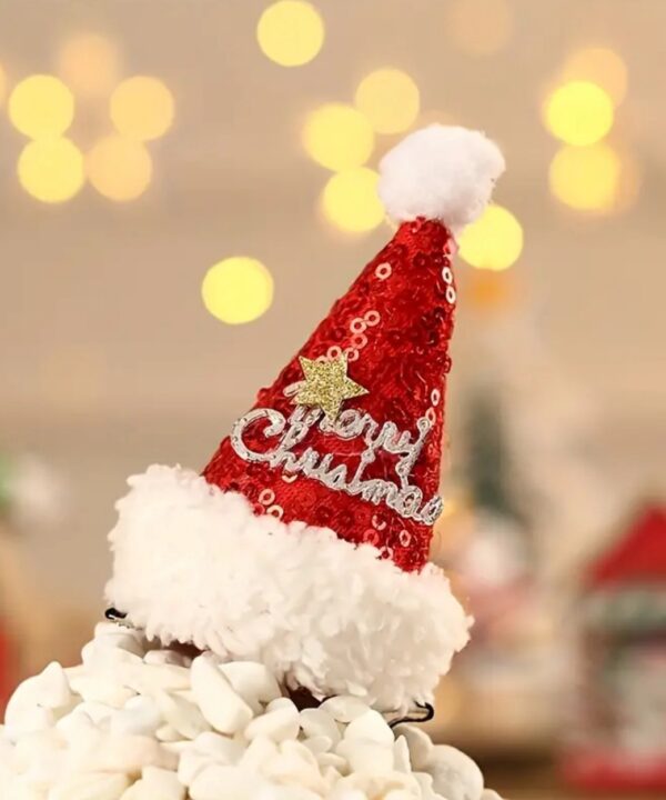 Pinza Merry Christmas