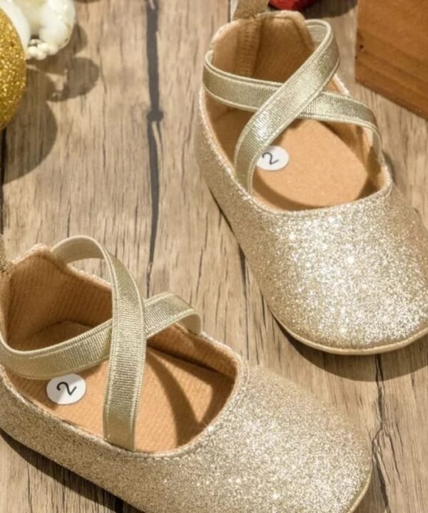 Zapatos Bailarina