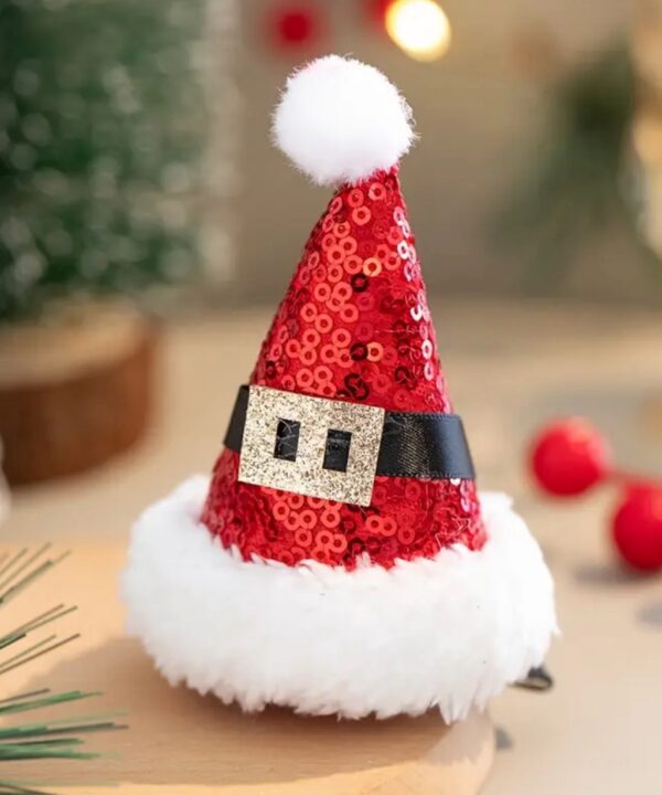 Pinza Santa Claus